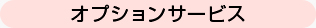 オプションサービス