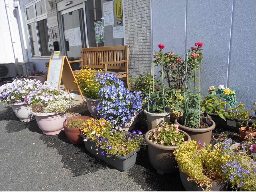 施設の花壇はお花でいっぱいです 株式会社東日本福祉経営サービス 新潟 東京 埼玉 千葉県内で有料老人ホーム デイサービス グループホーム等を運営 施設の花壇はお花でいっぱいです 株式会社東日本福祉経営サービス 新潟 東京 埼玉 千葉県内で有料老人ホーム デイサービス グループホーム等を運営