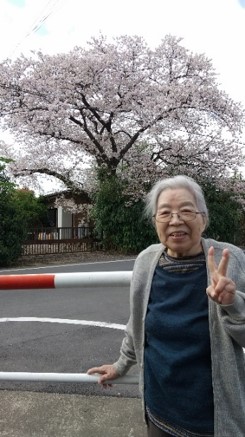 桜お花見