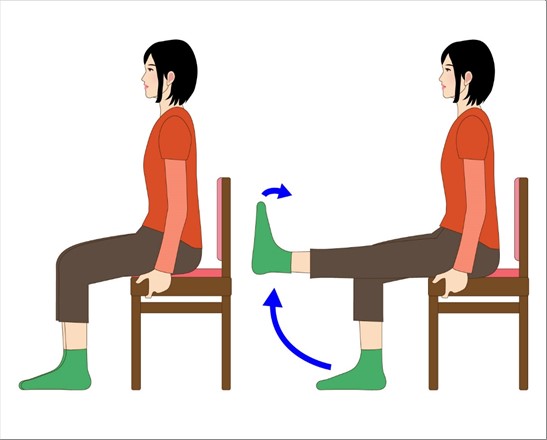 【おウチで簡単エクササイズ！】「レッグエクステンション」（ひざの曲げ伸ばし）で大腿四頭筋を鍛えよう！
