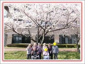 スミール向陽　御一行様 お花見ツアー🌸🌸🌸