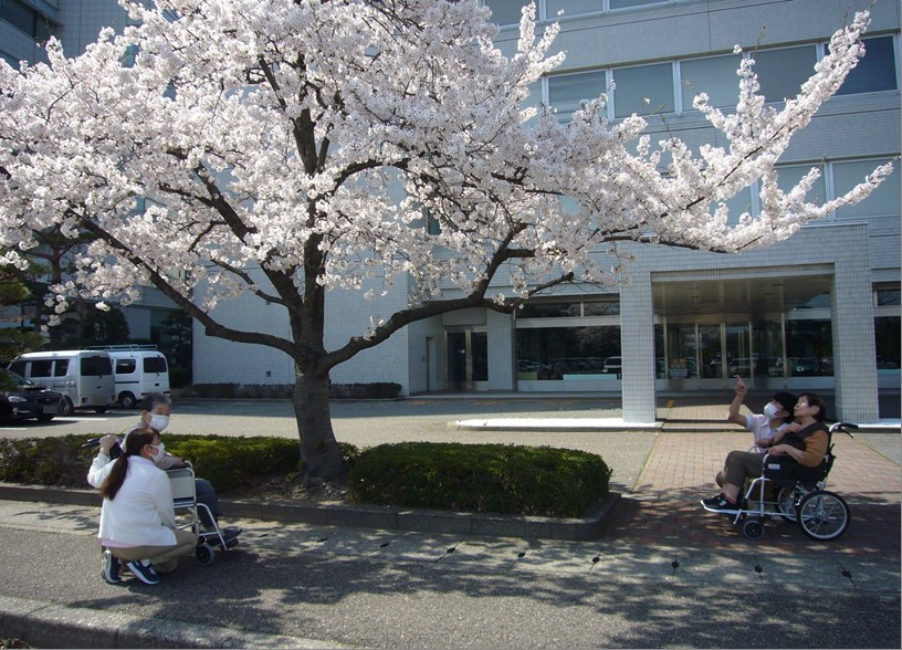 「新潟県庁展望回廊見学とお花見」