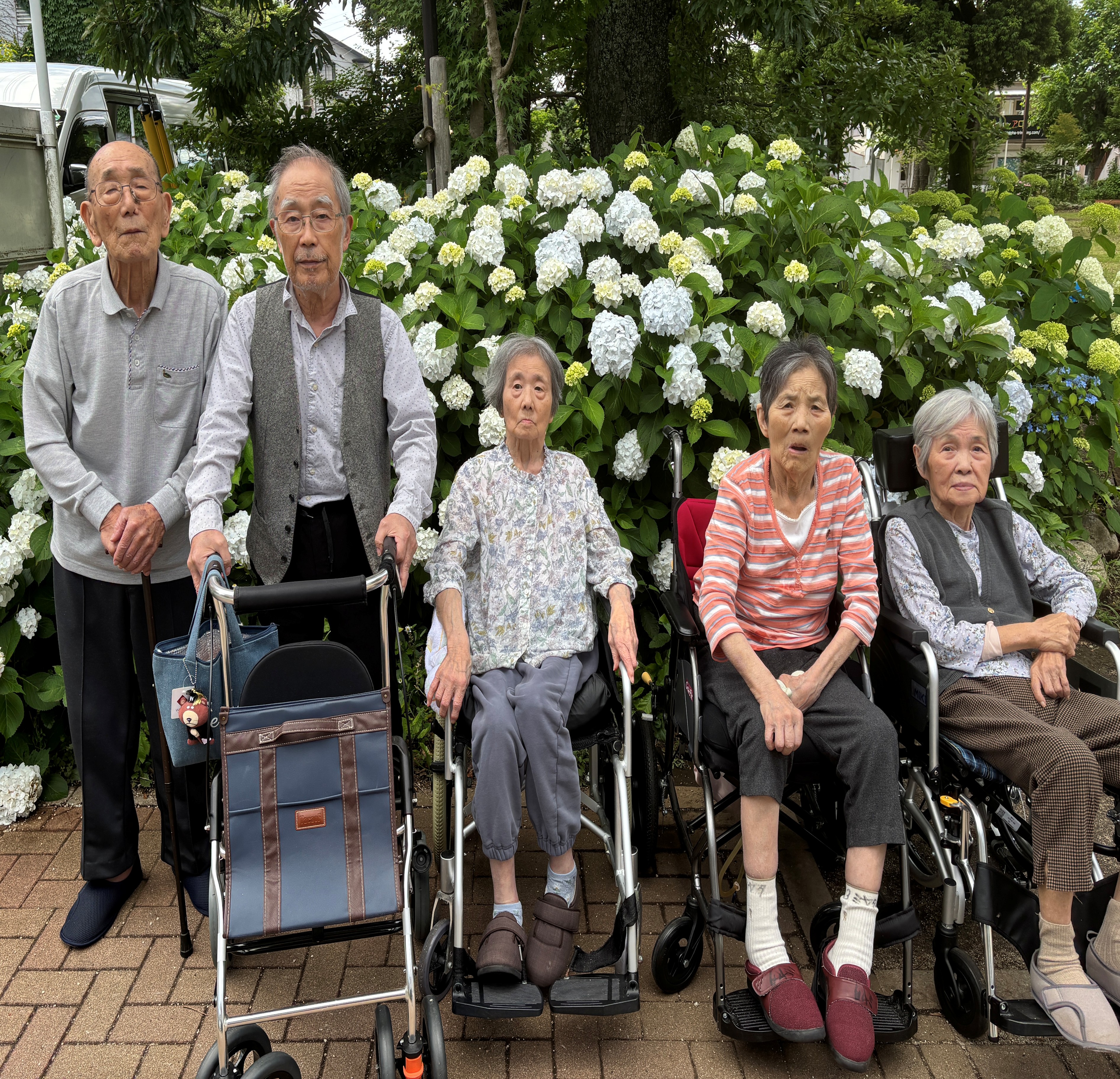 みんなで紫陽花を楽しもう！