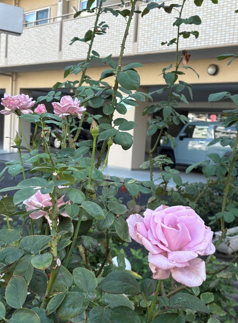 新しい職員の紹介