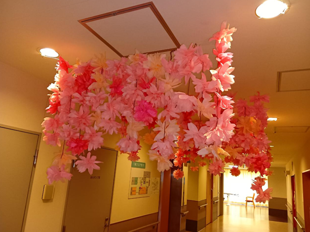 お花見飾りとプチお花見