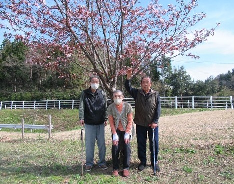 お花見ドライブ🌸