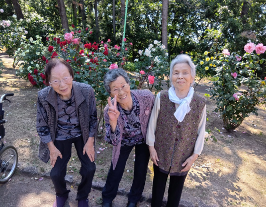 寺尾公園に出かけました🌹
