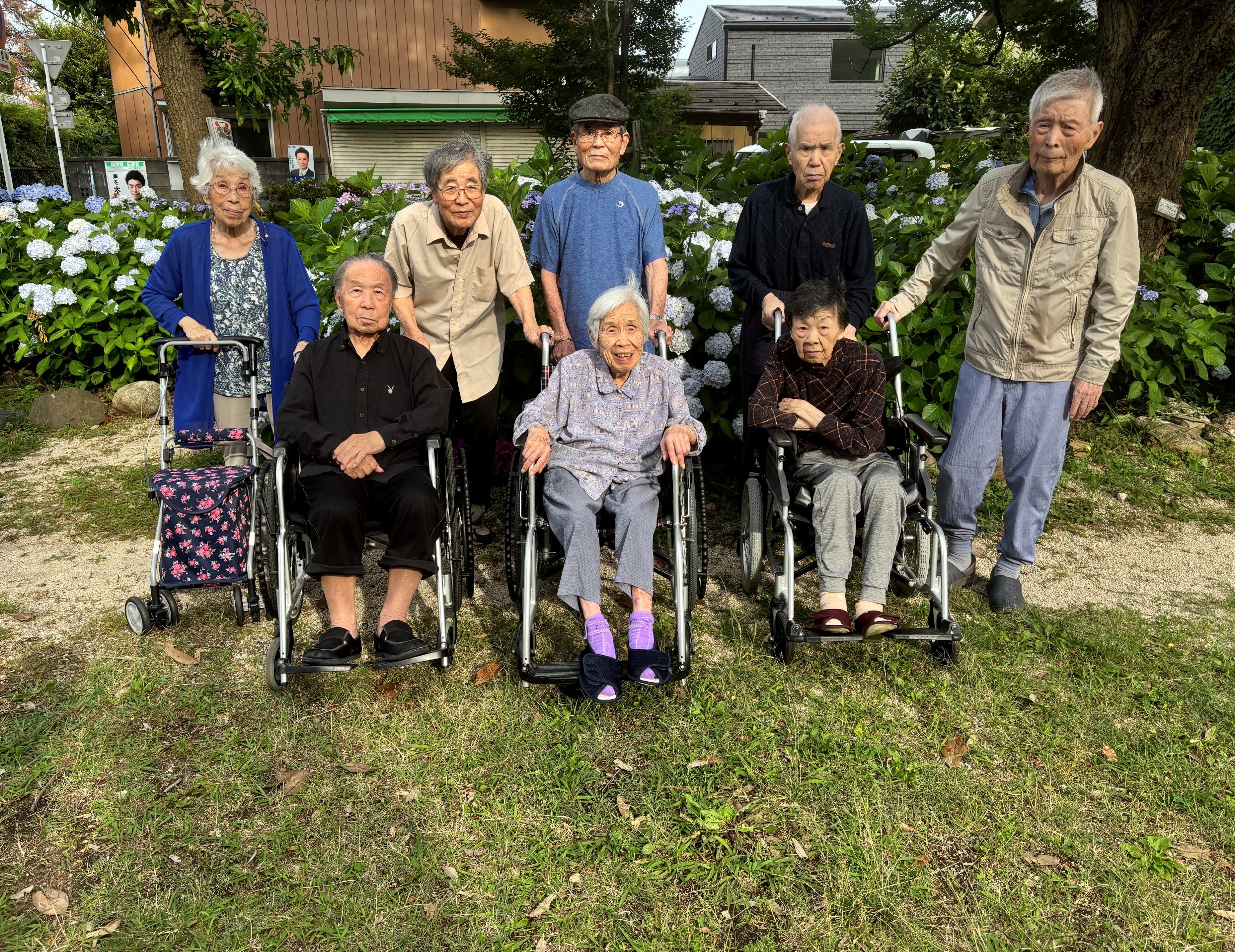 紫陽花ドライブinふじみ野市